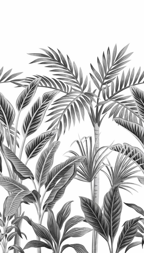 Fototapete - Tropische Blätter, Palmen A40801, 159 x 280 cm, One roll, Murals, Grandeco