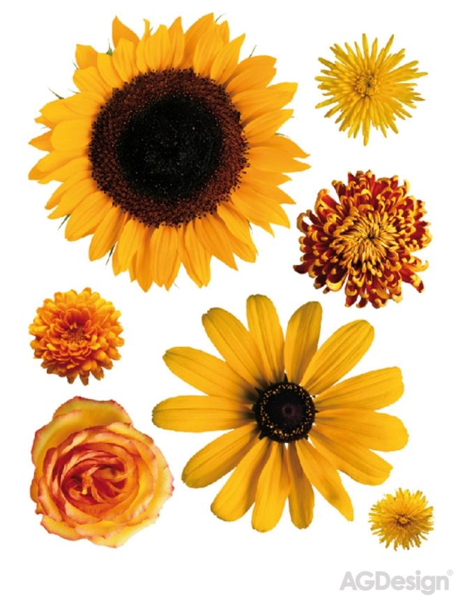 Selbstklebende Wanddekoration F 0408, Sonnenblume / gelbe Blüten, AG Design