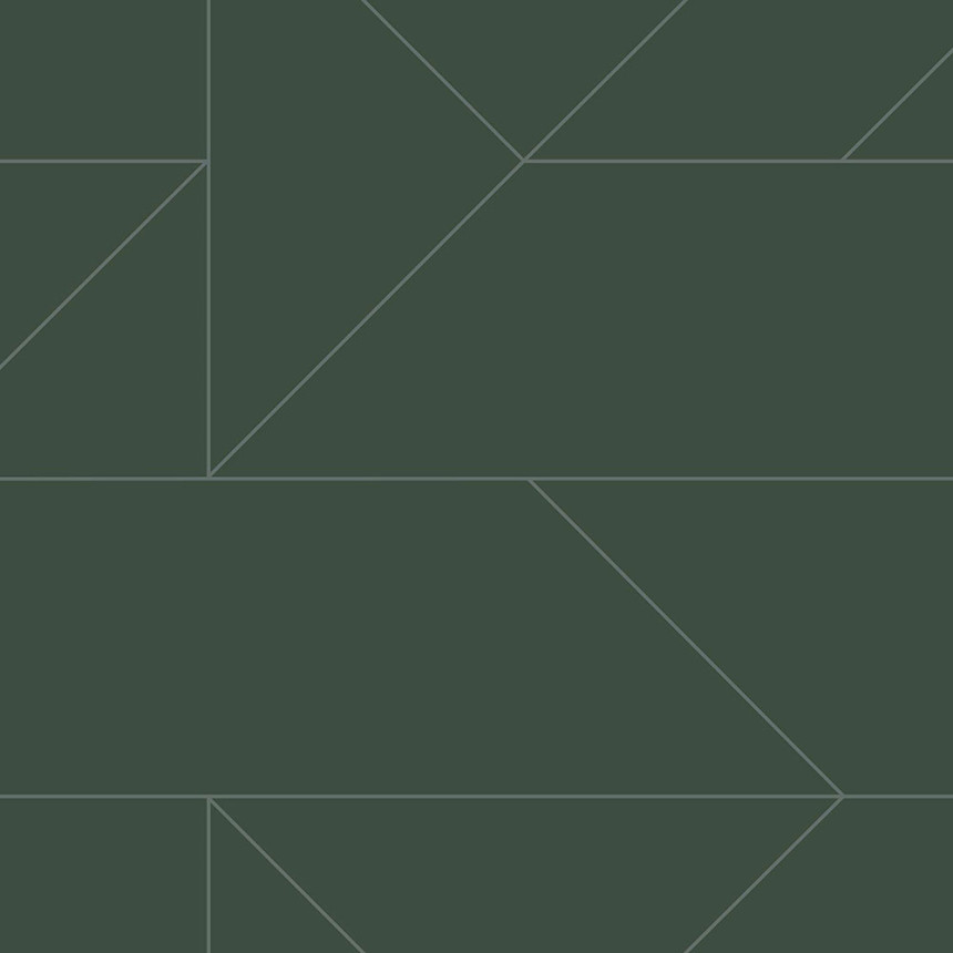 Dunkelgrüne geometrische Tapete, metallische Linien 347728, City Chic, Origin 
