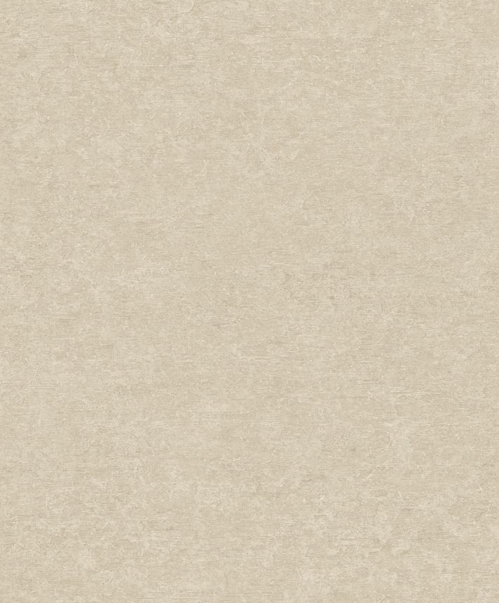 Beige Tapete, Putzimitat, A65603, Vavex 2025