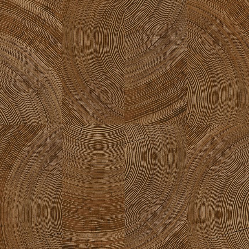 Braune Vliestapete, Imitation einer Holzvertäfelung, A69101, Vavex 2026