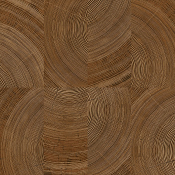Braune Vliestapete, Imitation einer Holzvertäfelung, A69101, Vavex 2026