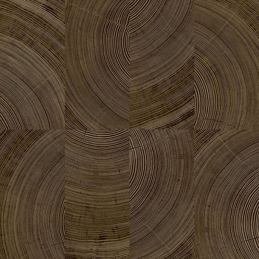Braune Vliestapete, Imitation einer Holzvertäfelung, A69103, Vavex 2026