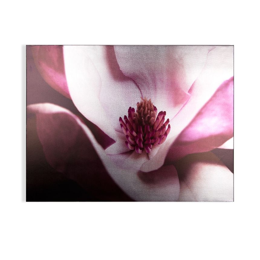 Frameless picture Metallic Plum Petals 104574, Wall Art, Graham Brown