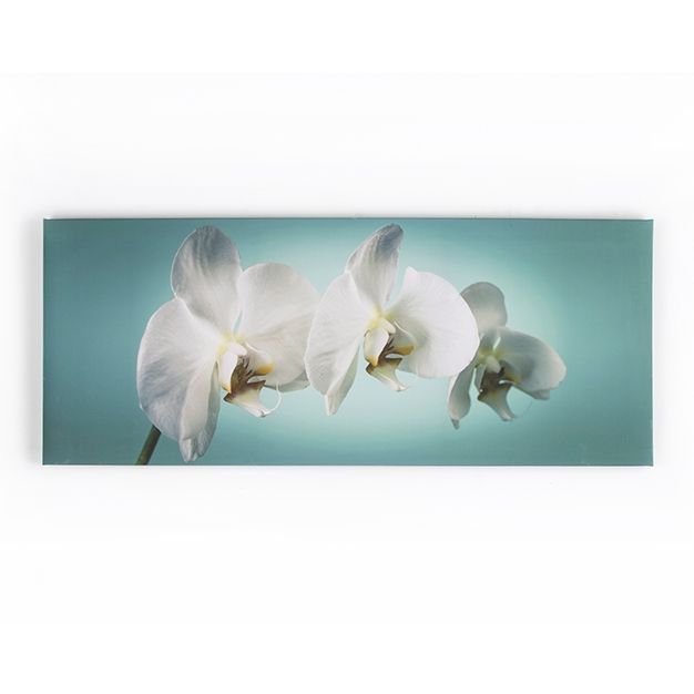 Painting Orchids 40-615, Teal orchid, Wall Art, Graham Brown