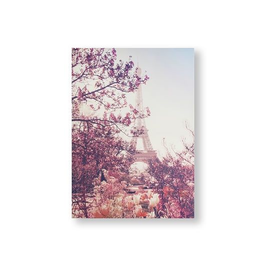 Printed canvas Paris 105883, Paris in Bloom, Wall Art, Graham & Brown