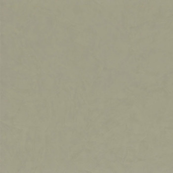 Non-woven wallpaper plaster imitation Z46053, Trussardi 6, Zambaiti Parati