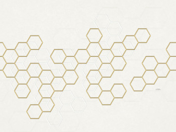 Luxury geometric wall mural with hexagons Z90068, 330 x 300 cm, Automobili Lamborghini 2, Zambaiti Parati