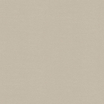 Braune Metallic-Vliestapete mit feiner Textur 347602, Matières - Metal, Origin