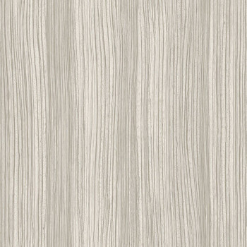 Grau-Silber Vliestapete für die Wand, Holzstruktur 347350, Matières - Wood, Origin