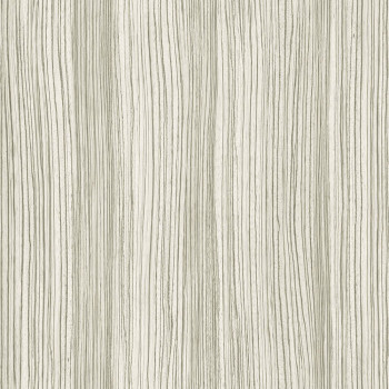 Grau-beige Vliestapete für die Wand, Holzstruktur 347236, Matières - Wood, Origin