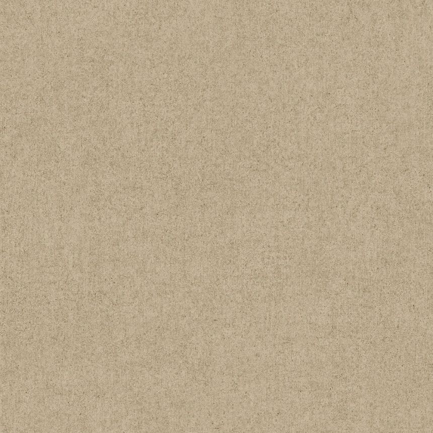 Braun-beige Tapete, Betonimitat M35687D, Couleurs 2, Ugépa