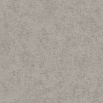 Strukturierte graue Tapete, AF24506, Affinity, Decoprint