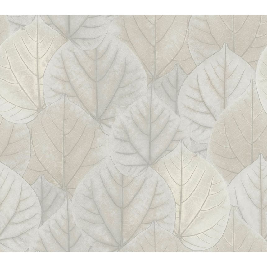 Grau-silberne Tapete, Blätter OS4246, Modern Nature II, York