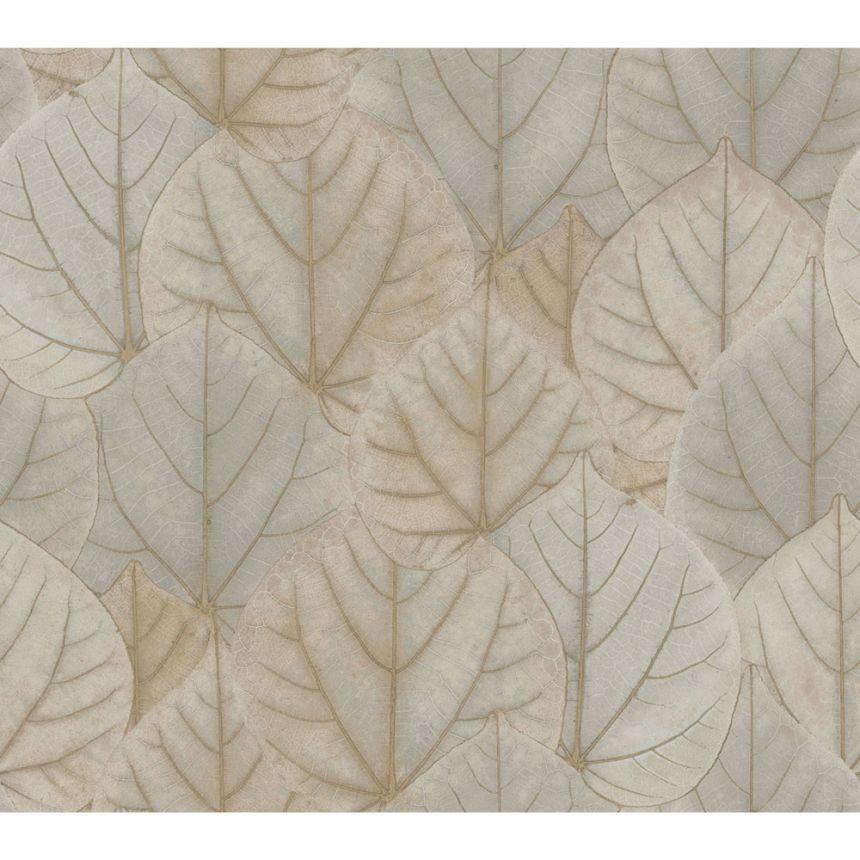 Grau-beige Tapete, Blätter OS4243, Modern Nature II, York